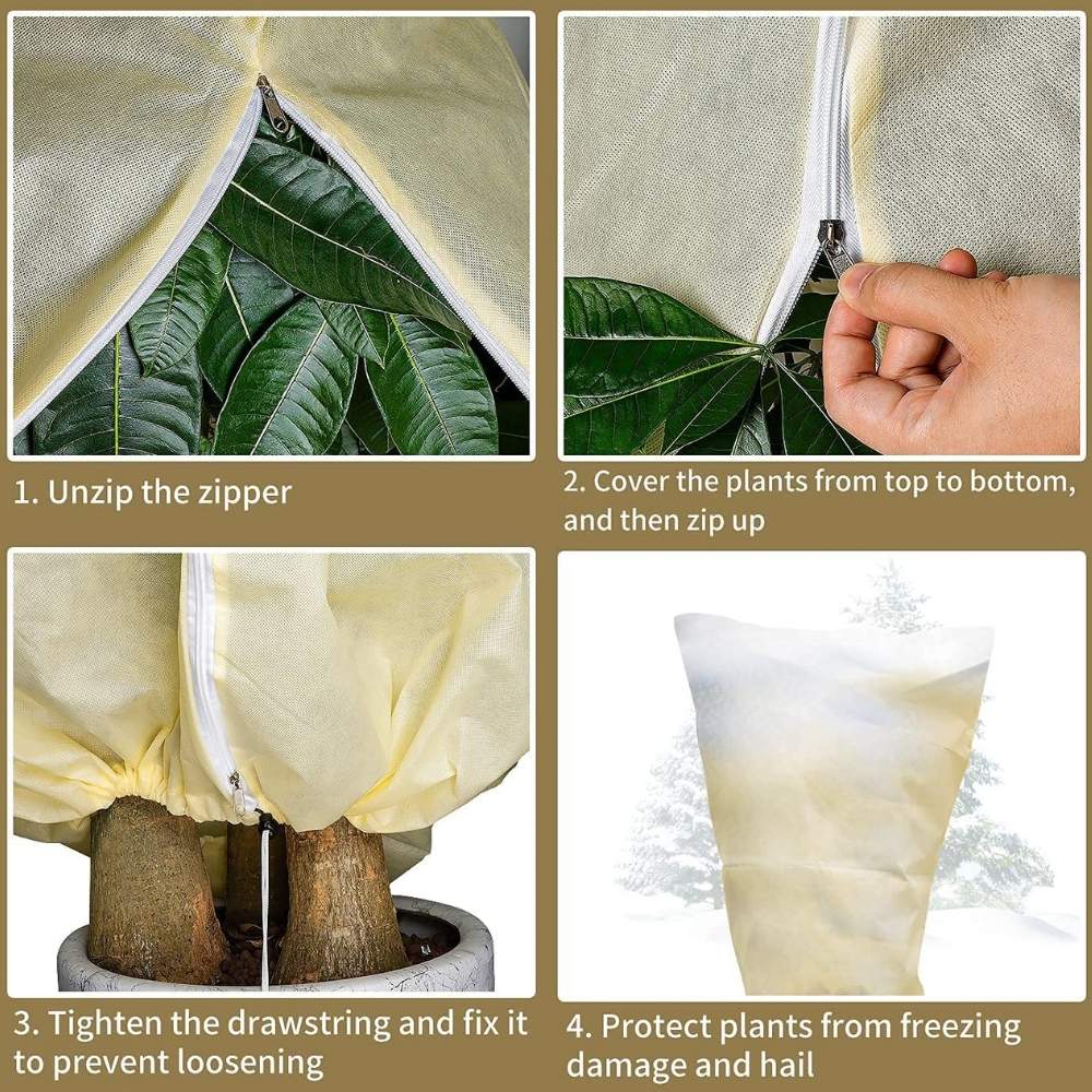 Plant Covers For Frost: image 3