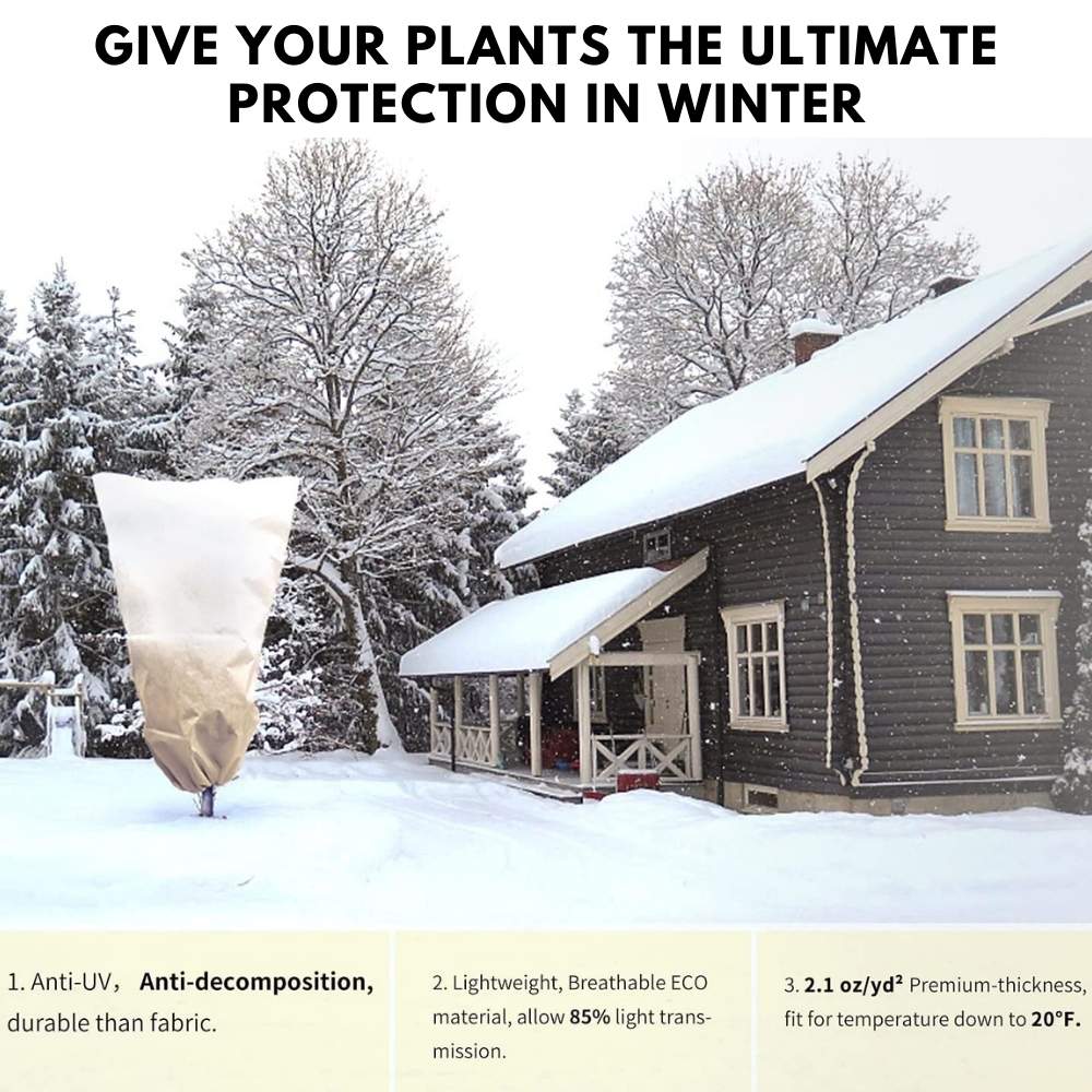 Plant Covers For Frost: image 4