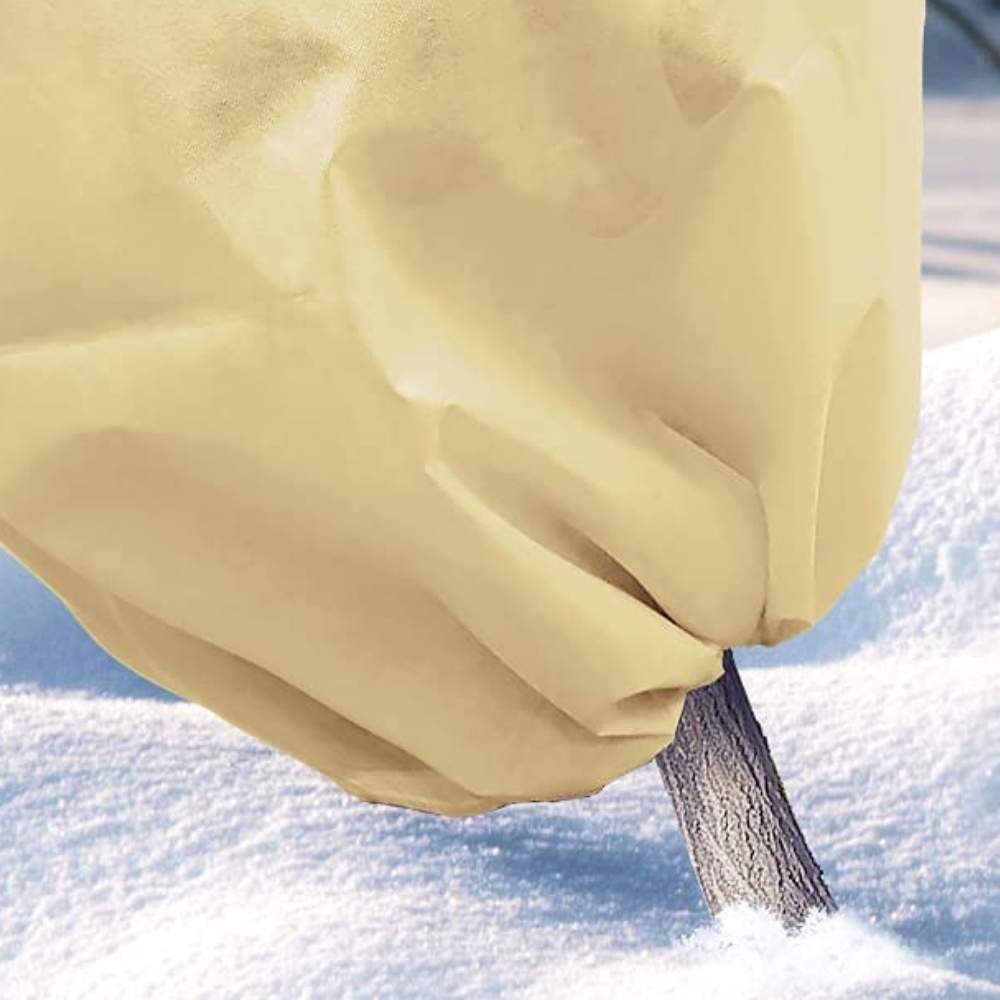 Plant Covers For Frost