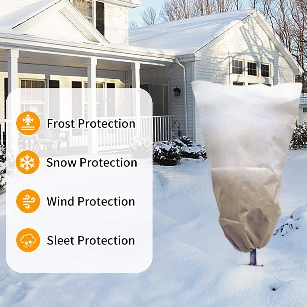 Plant Covers For Frost: image 9