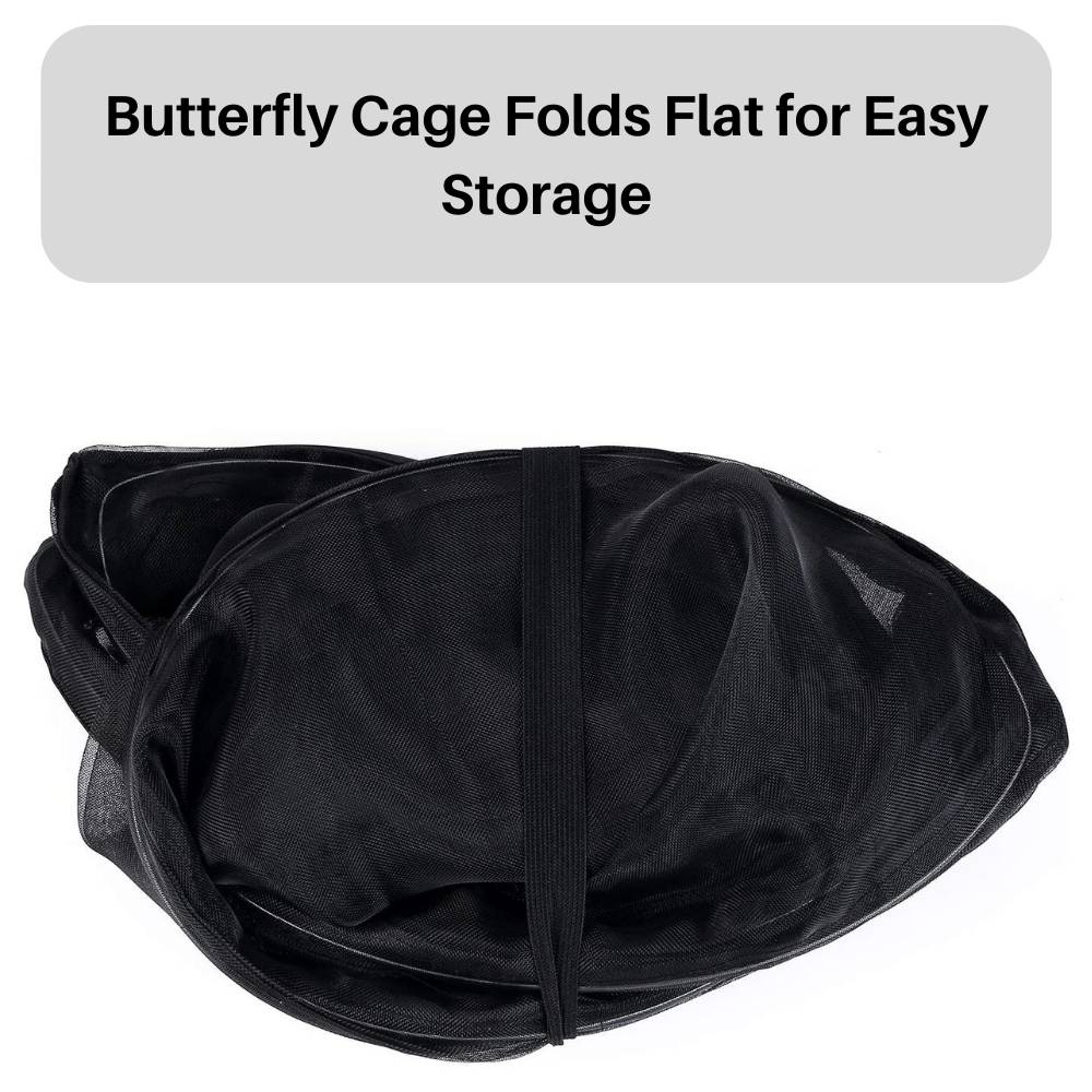 Butterfly Habitat Cage: image 5