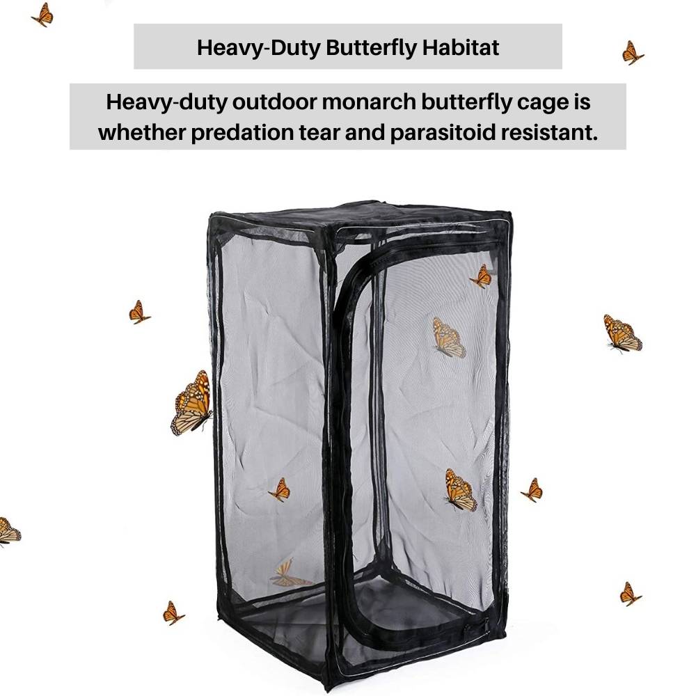 Butterfly Habitat Cage: image 2