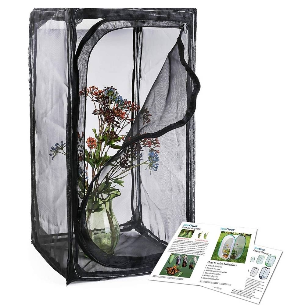 Butterfly Habitat Cage: image 3