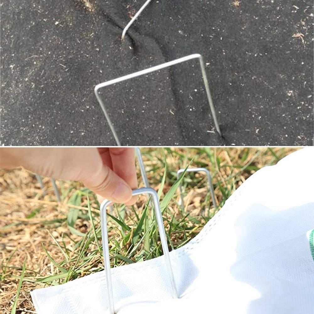 Ground Staples: image 5