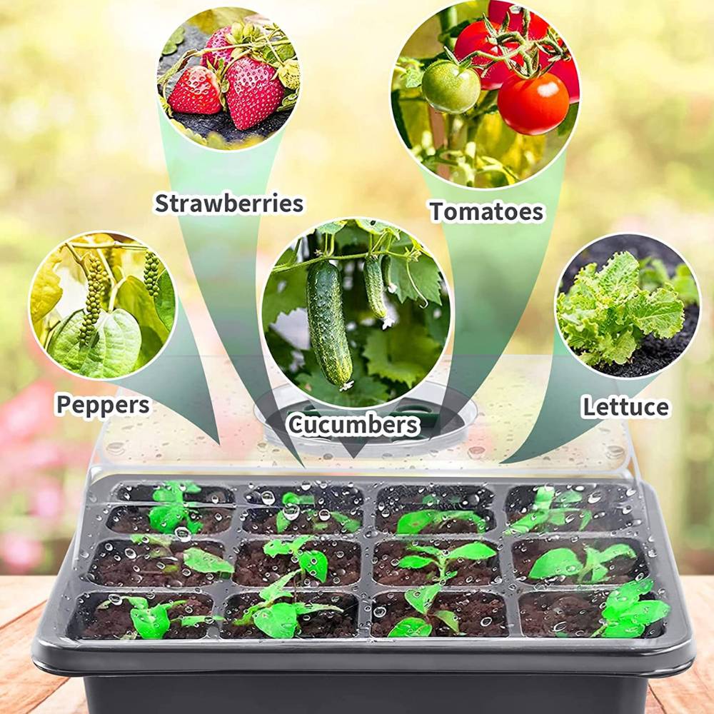 Seed Starter Tray: image 7