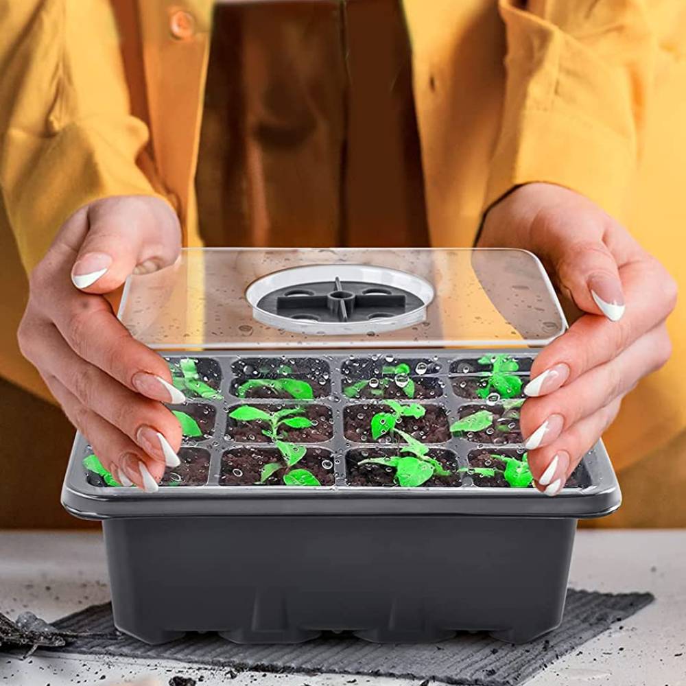 Seed Starter Tray: image 1