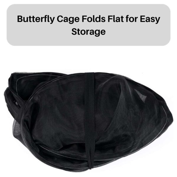 buy Butterfly cage online