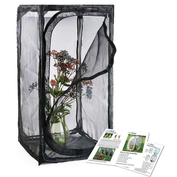 buy insect mesh cage terrarium online